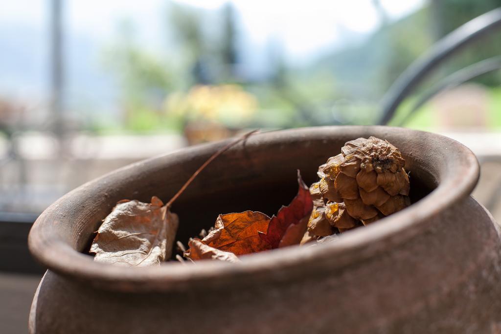 Agriturismo Maso Lizzone Дро Екстериор снимка