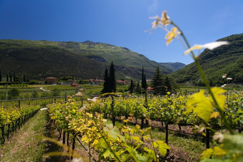 Agriturismo Maso Lizzone Дро Екстериор снимка