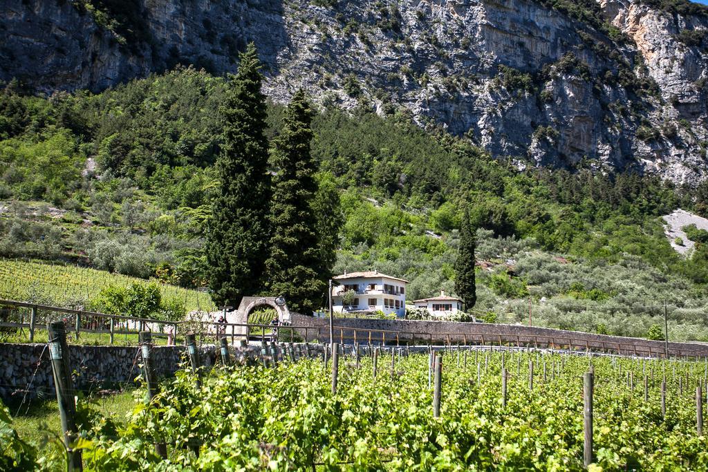 Agriturismo Maso Lizzone Дро Екстериор снимка